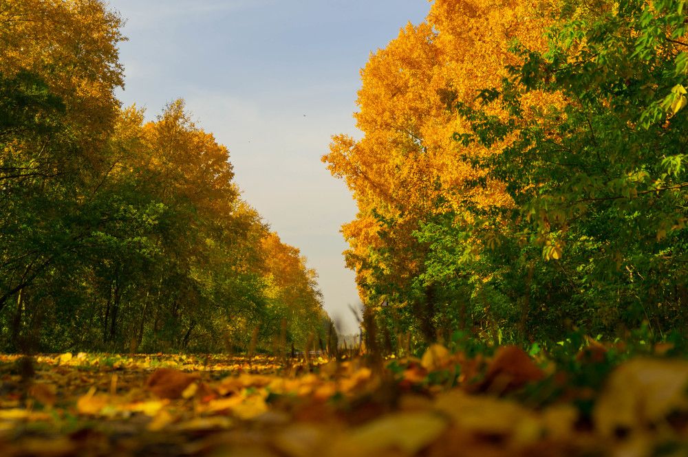 Photograph by Дубровин Николай