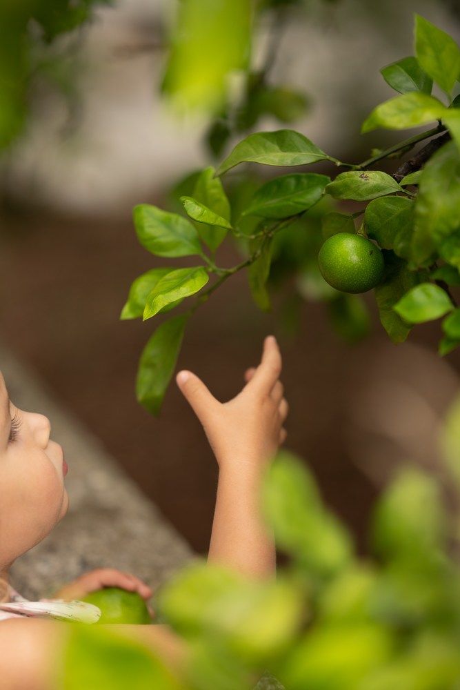 Фотография автора Nataliya Khalikova