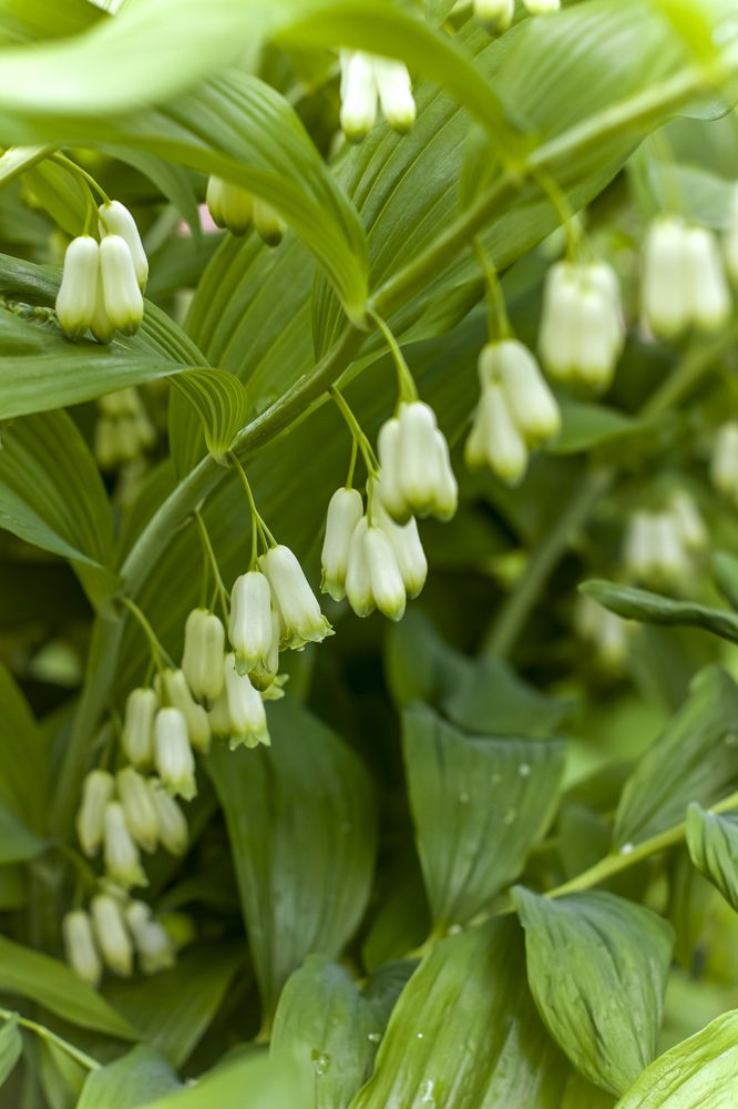 Photograph by Людмила Новосёлова