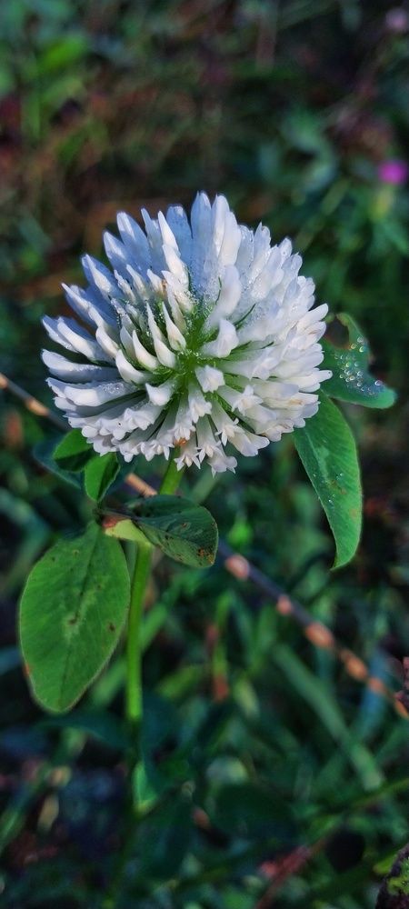 Photograph by Анастасия Липаткина