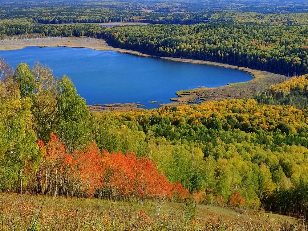 Краски осени