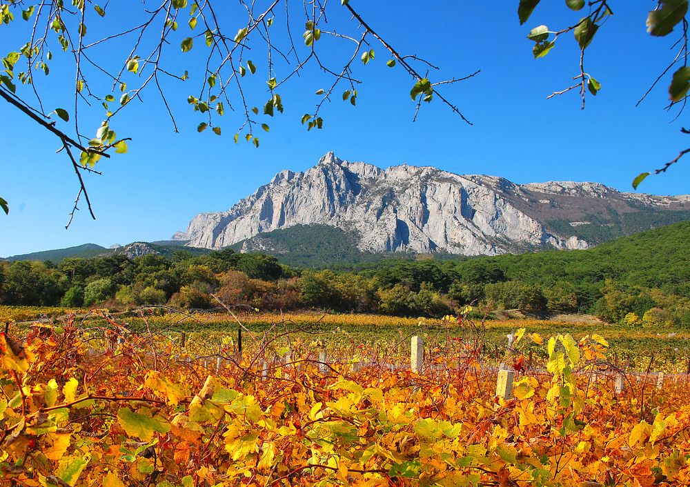 Photograph by Евгений Самулев