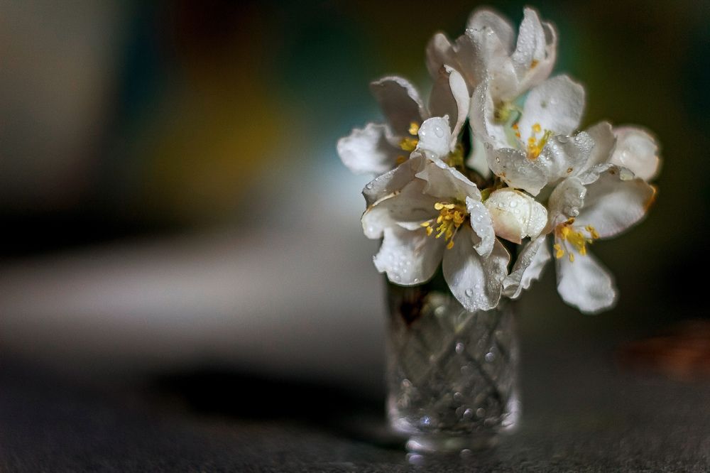 Photograph by Людмила Новосёлова