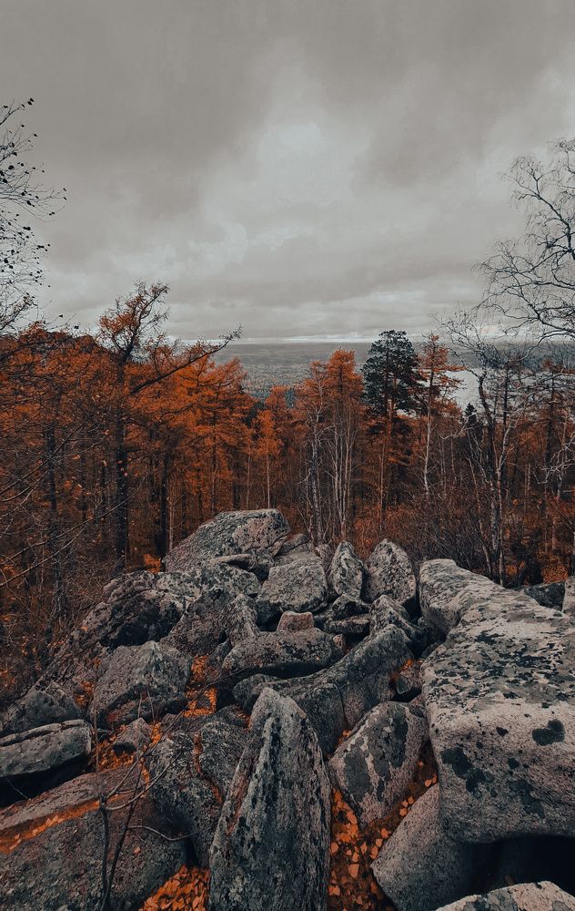 Фотография автора Anatoliy Poselyayushchiy