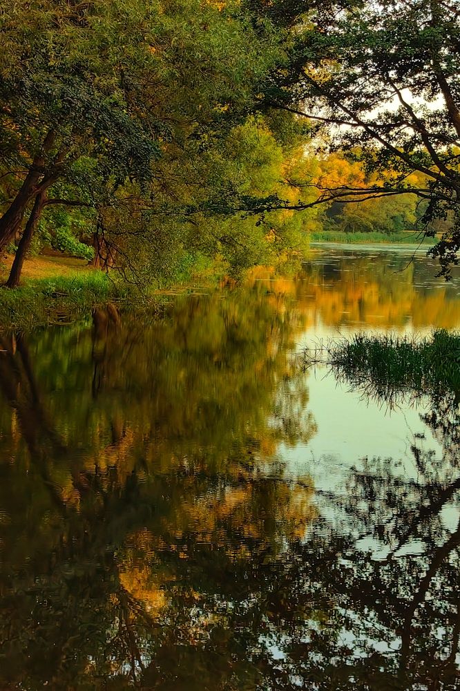 Photograph by Наталья