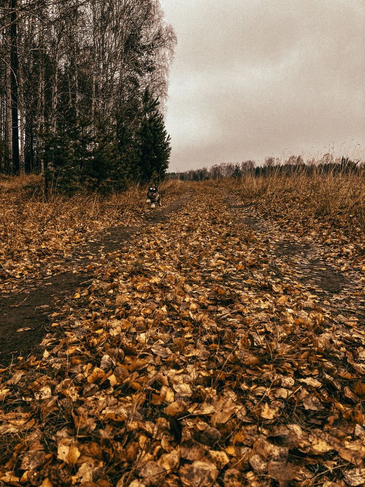 Photograph by Olivka Ulyanova
