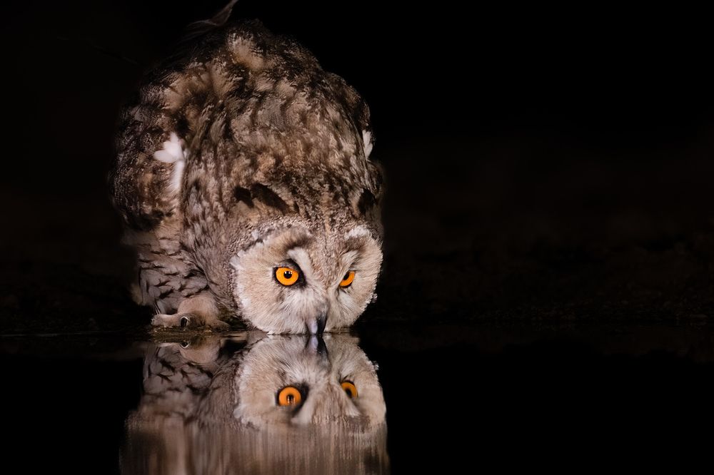 Photograph by Elena Levi