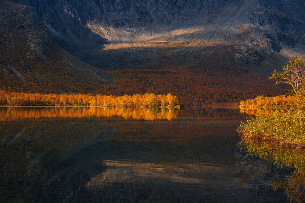 Photograph by Светлана