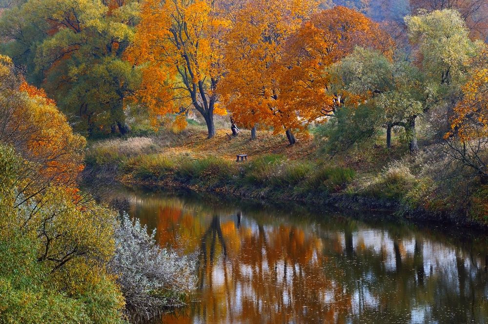 Photograph by Владимир Матва