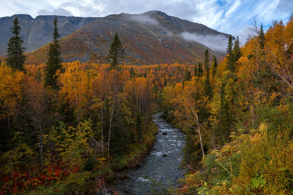 Photograph by Светлана