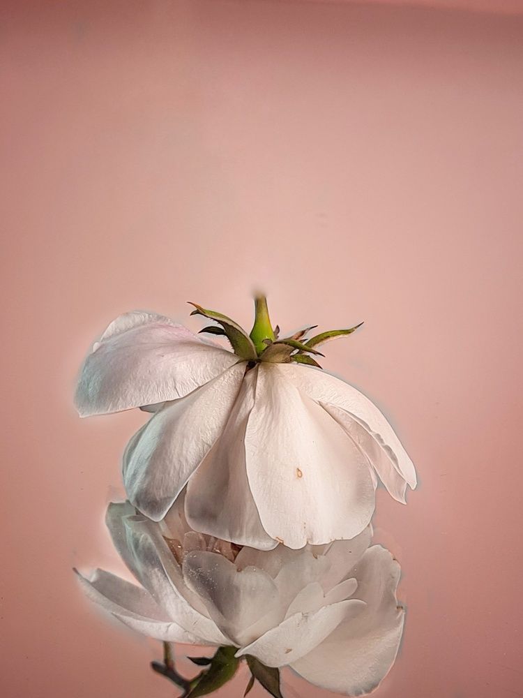 Photograph by Татьяна Соколовская