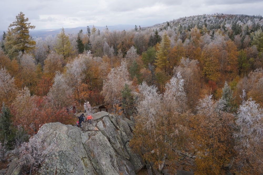Photo #9573469