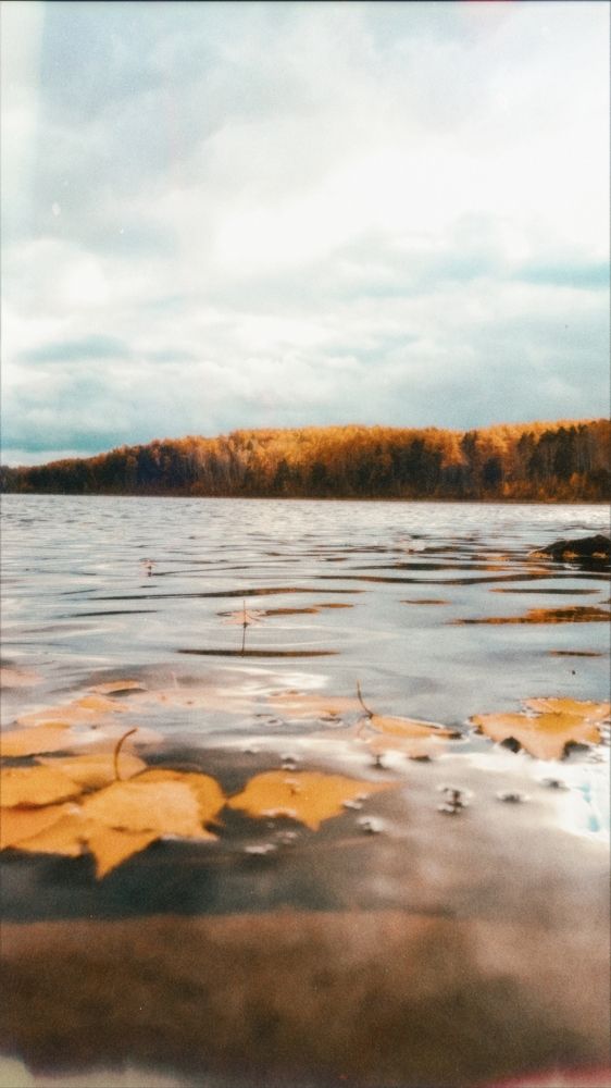Краски осени