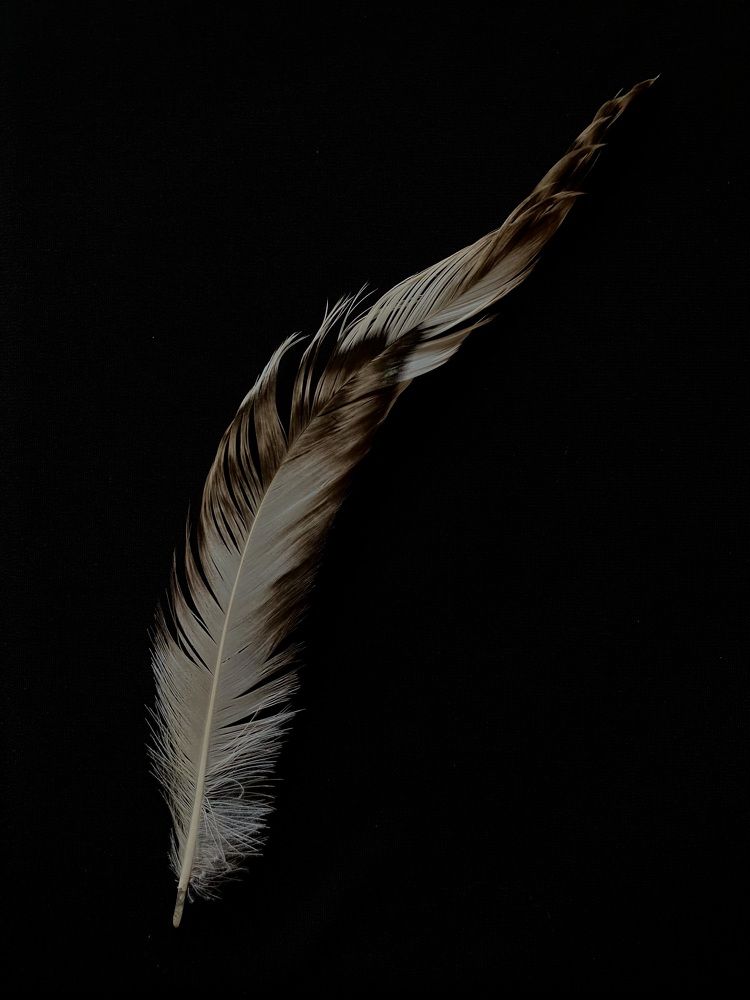 Photograph by Ольга Левенец