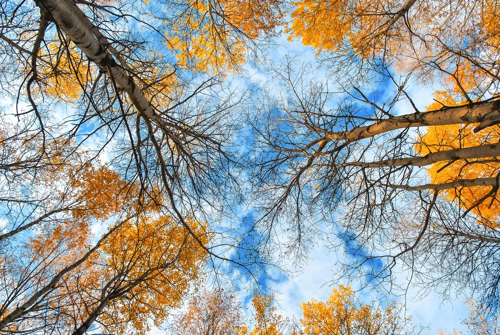 Photograph by Любовь Бусова