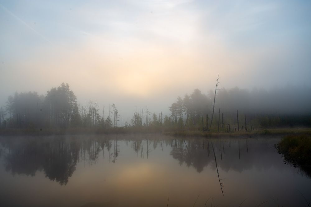 Photograph by Lev Kaufman