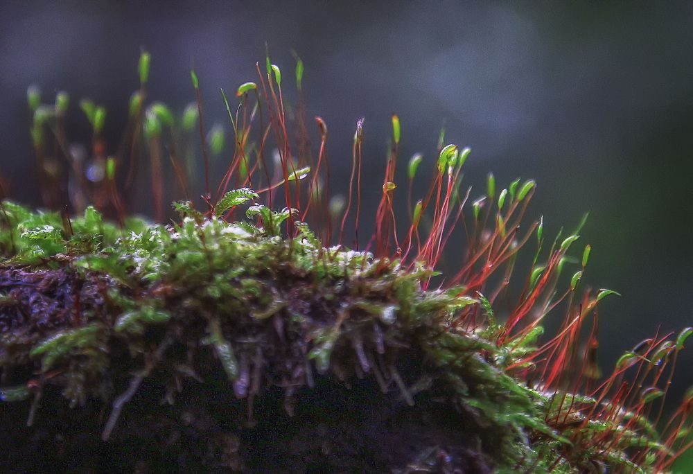 Фотография автора Александр