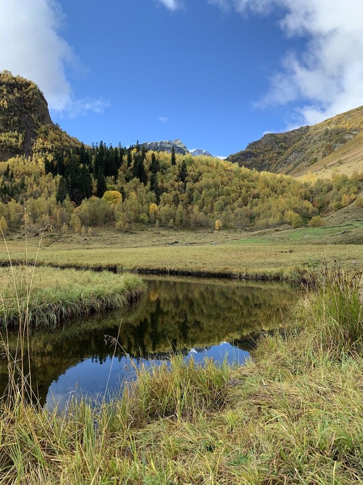 Photograph by Лариса