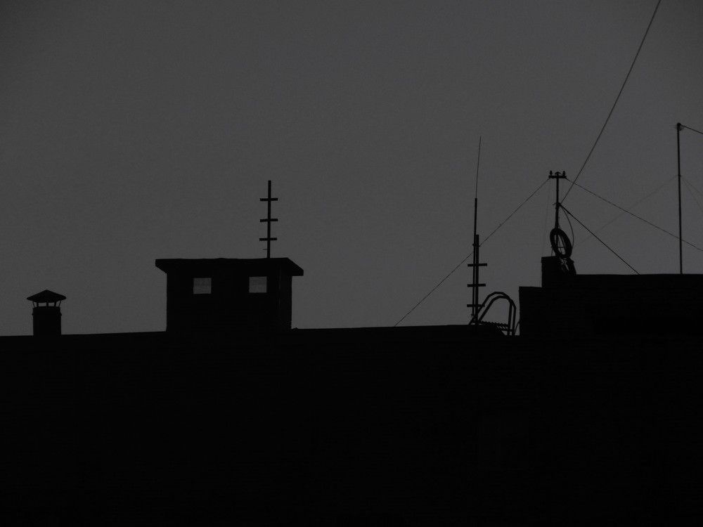 Photograph by Мария Самохина