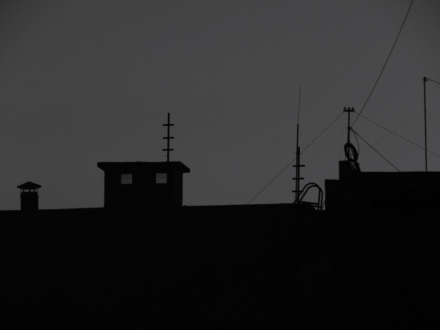 Photo #9573548