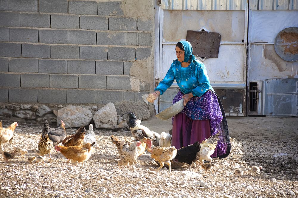 Фотография автора Mohammad Khani