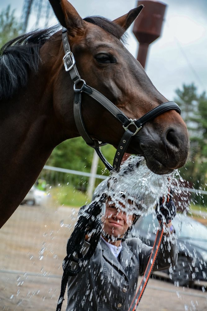 Фотография автора Ирина Кокшарова