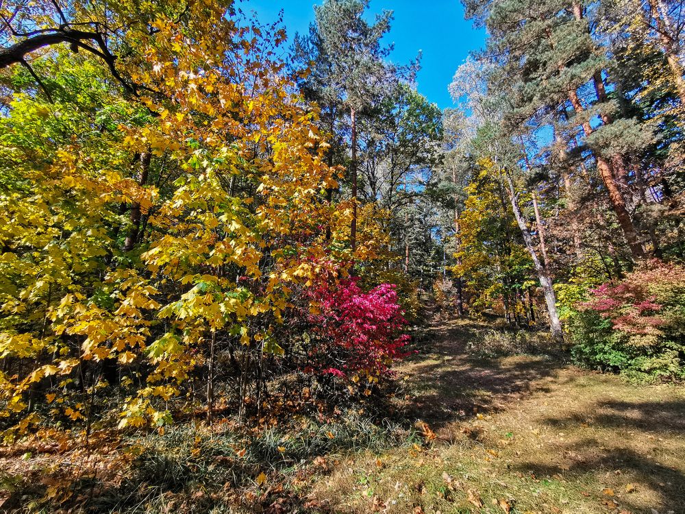 Photograph by Елена Иванова