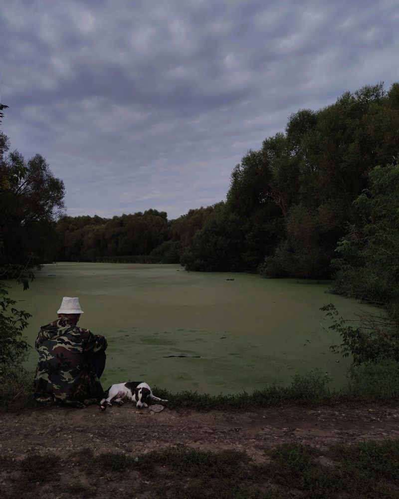 Photograph by Татьяна Аршинова