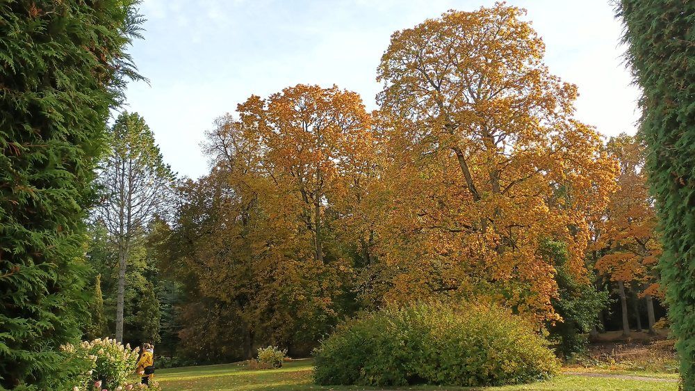 Осенние краски