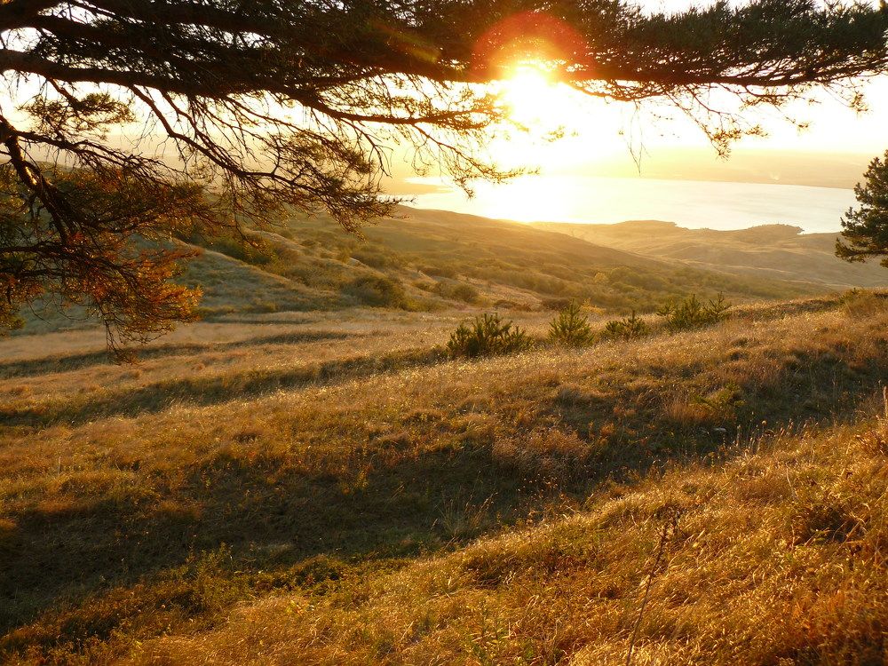 Photograph by Daria Kirina