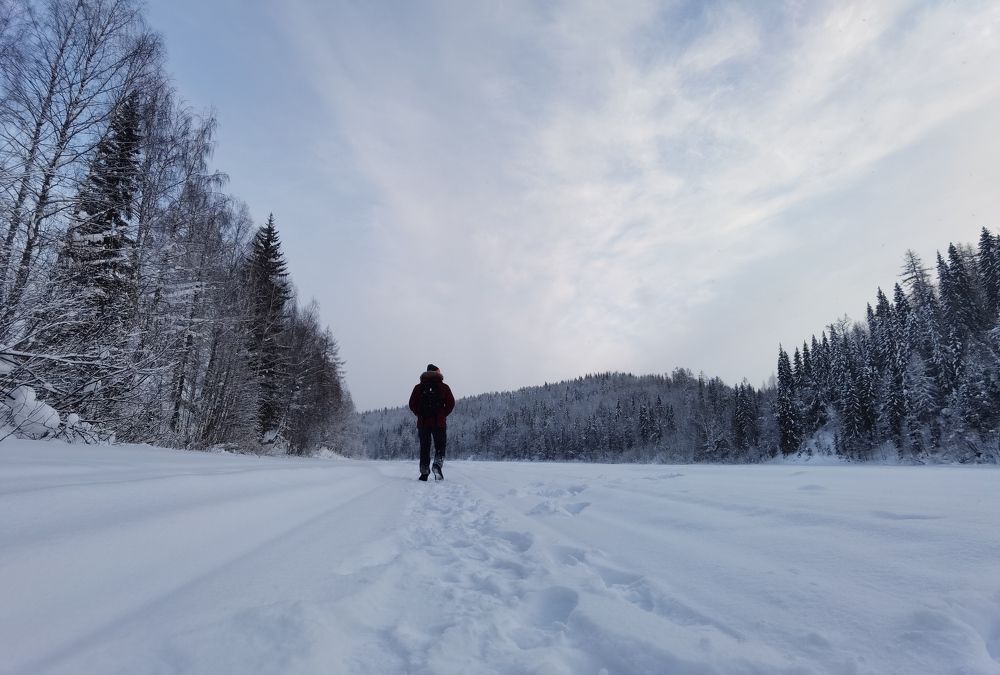 Зимняя прогулка