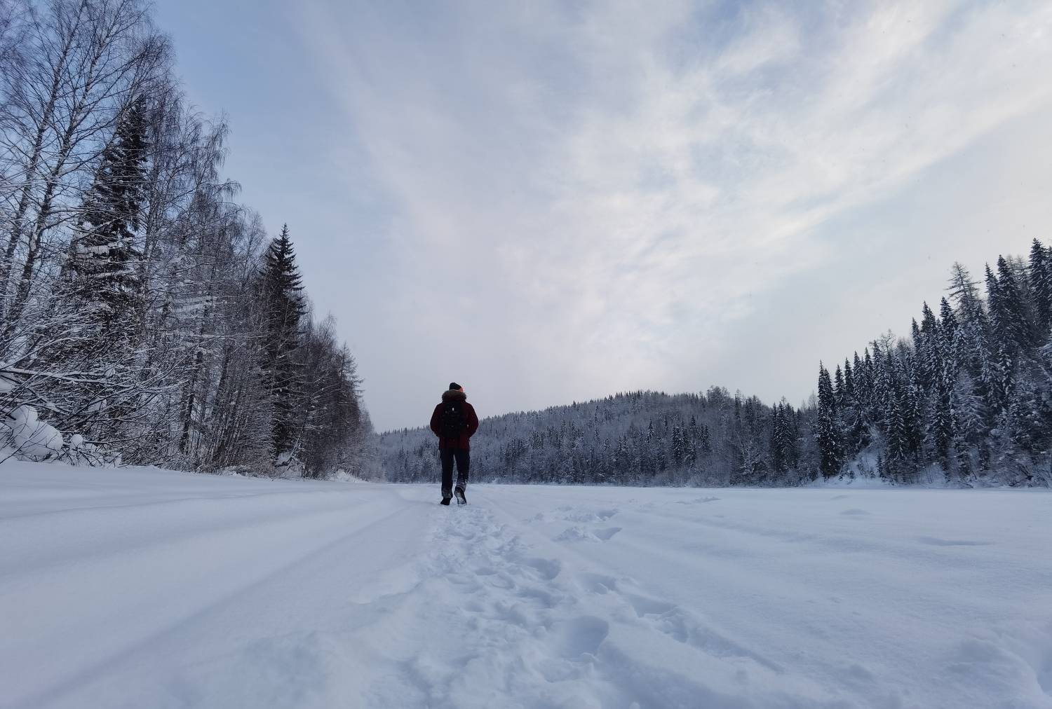 Зимняя прогулка