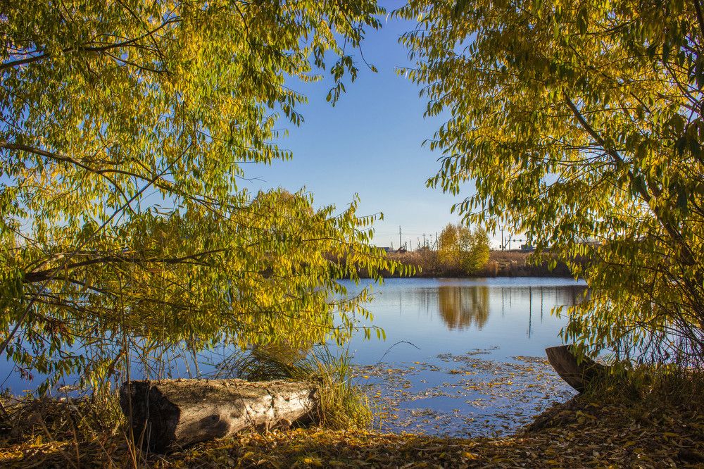 Photograph by Юрий Яковлев