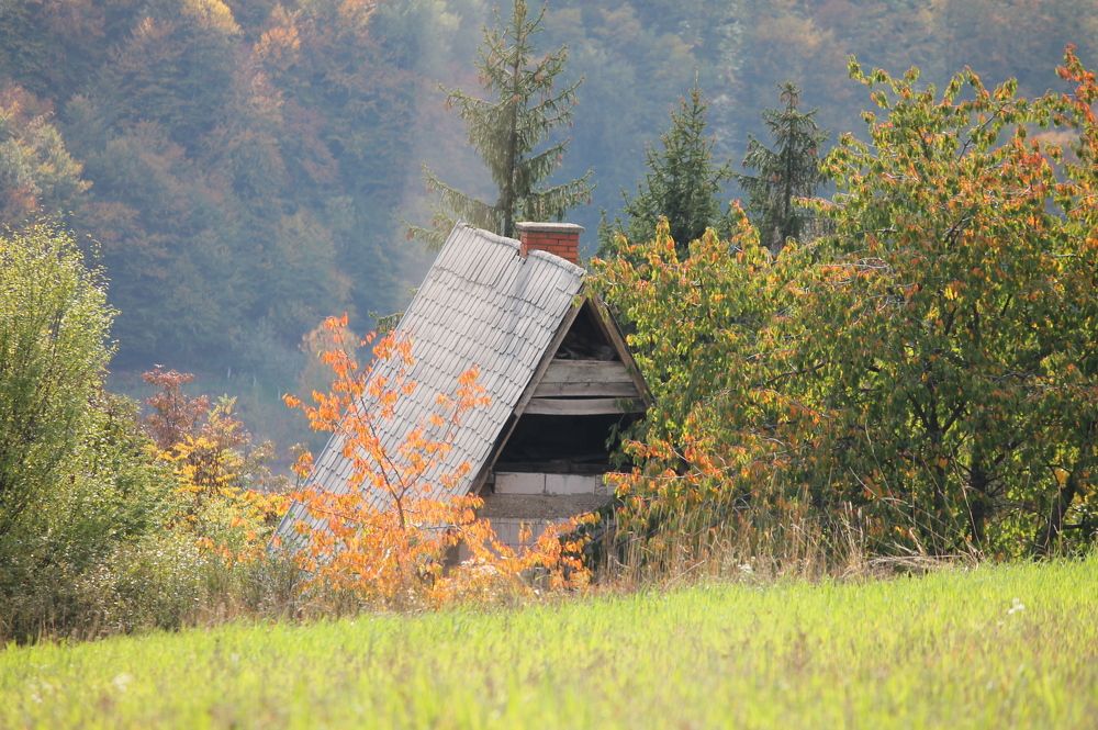 Photograph by Ljiljana Nedeljković