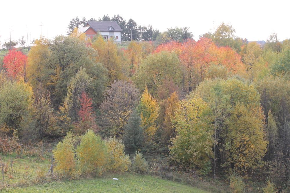 Photograph by Ljiljana Nedeljković