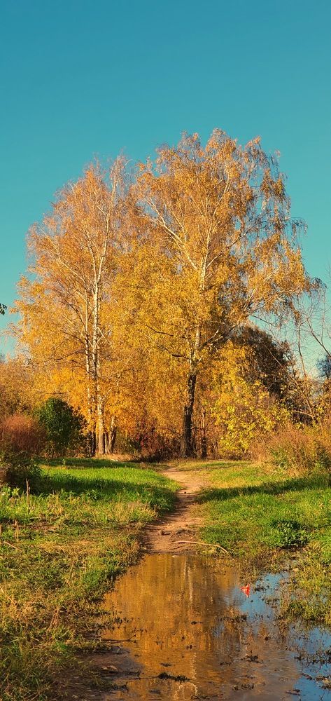 Photograph by Людмила Лукьяненко