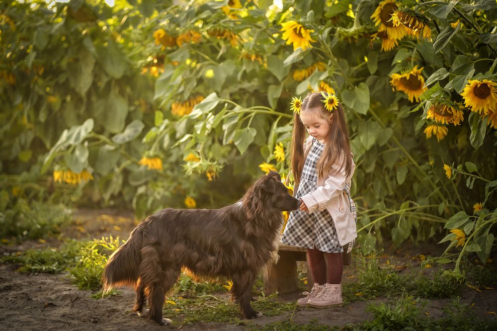 Photograph by Татьяна Гелих