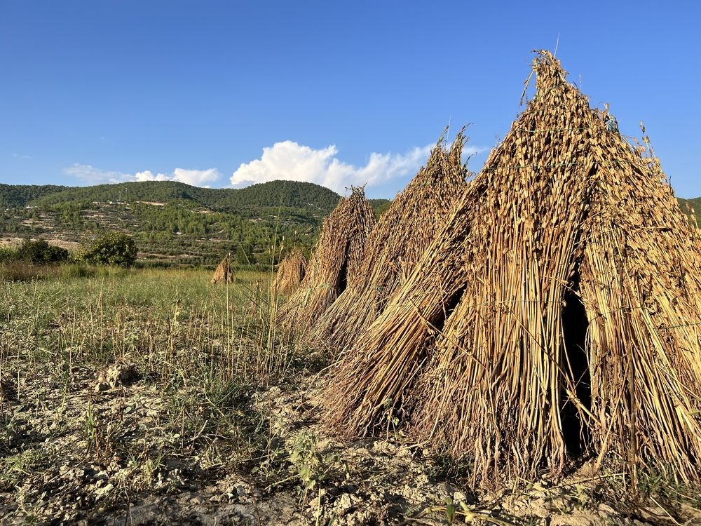 Photograph by Татьяна Унал