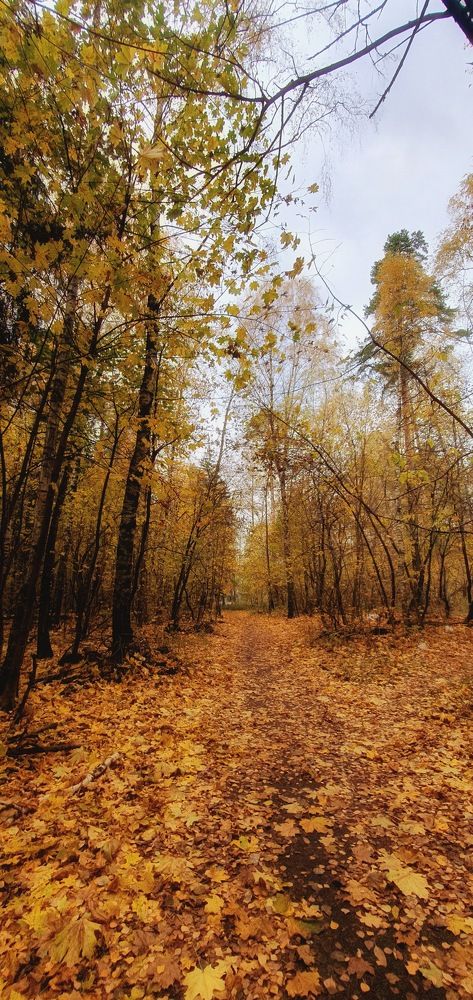 Photograph by Людмила Лукьяненко