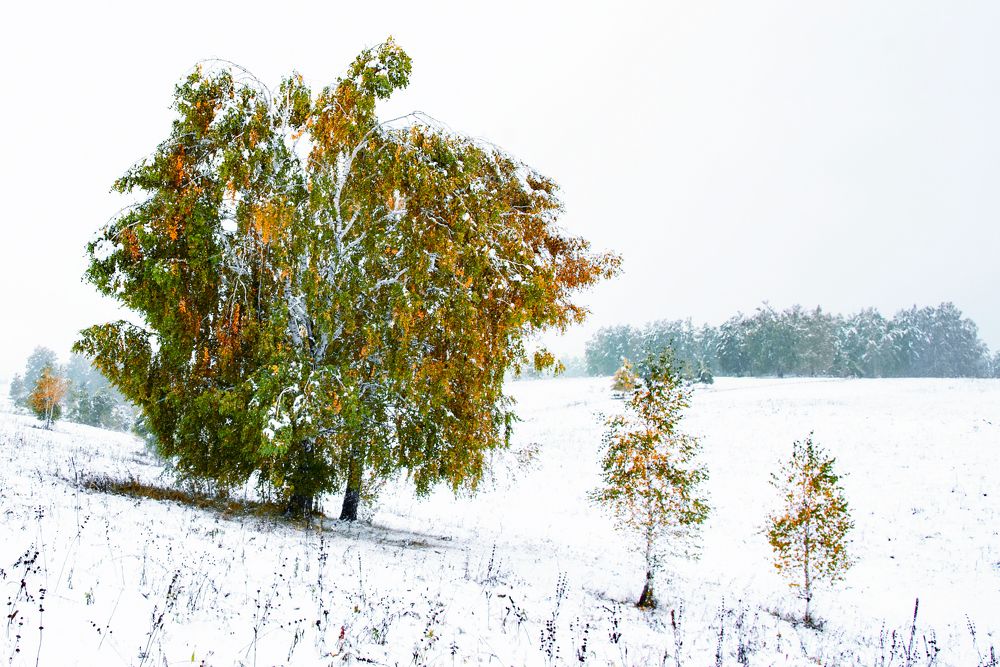 Photograph by Николай Швалюк
