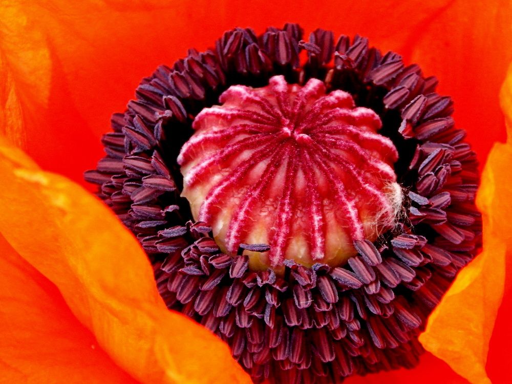 Photograph by Дмитрий Симагин