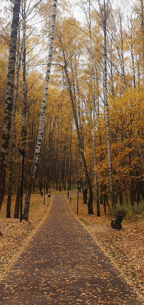 Photograph by Людмила Лукьяненко