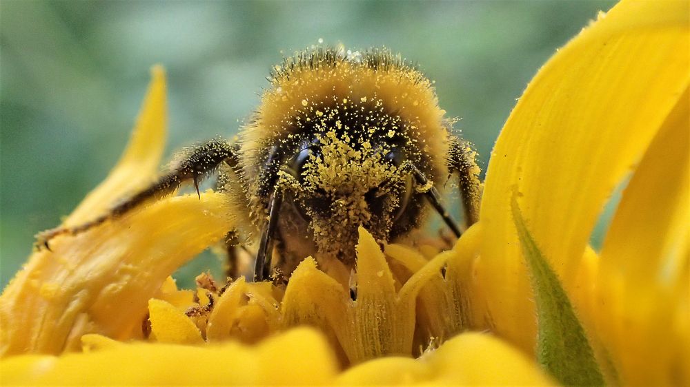 Перед взлётом