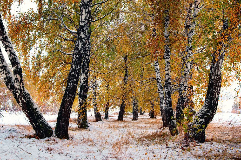 Photograph by Николай Швалюк