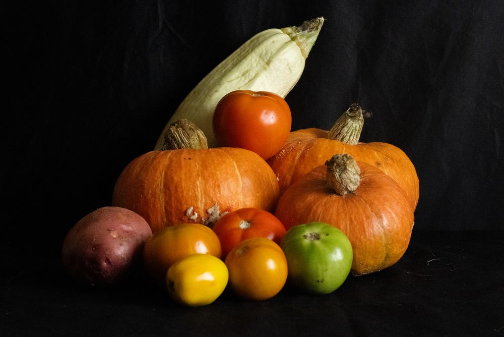 Фотография автора Egor Peshkov