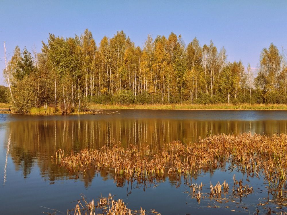 Фотография автора Татьяна Егорова