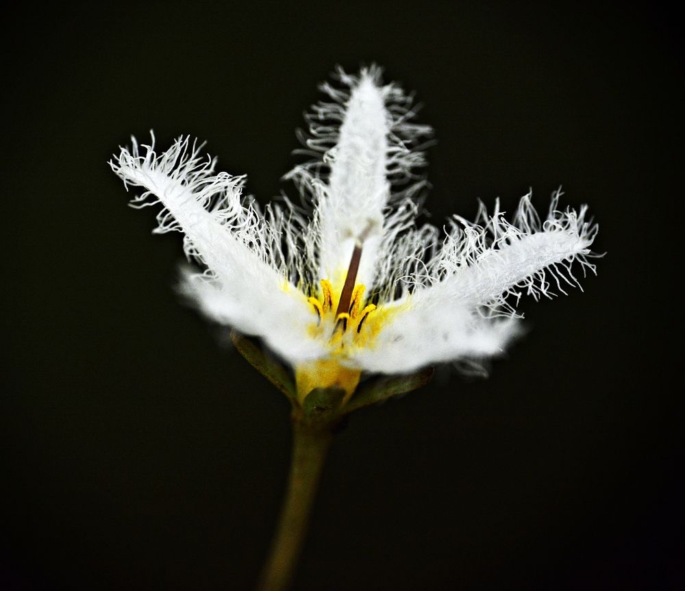 Photograph by FRANCISCO FERREIRA