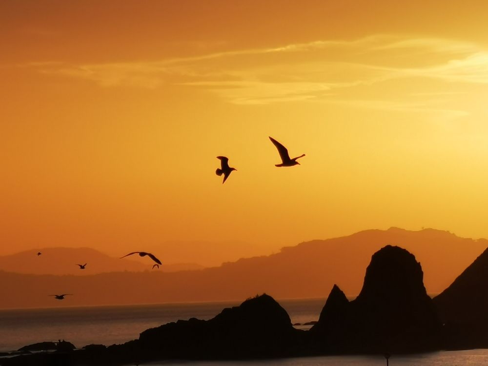 Photograph by Lander