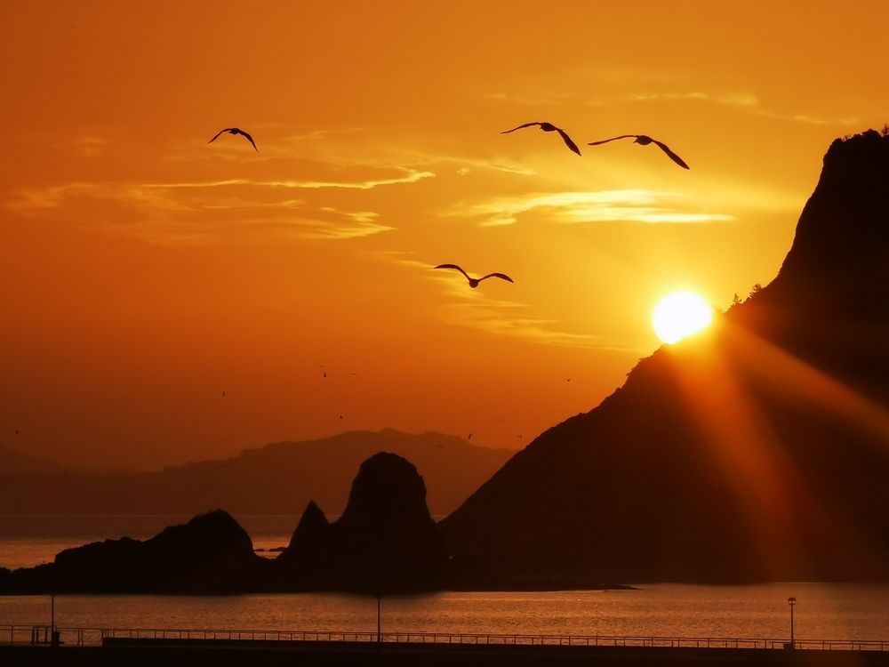 Photograph by Lander