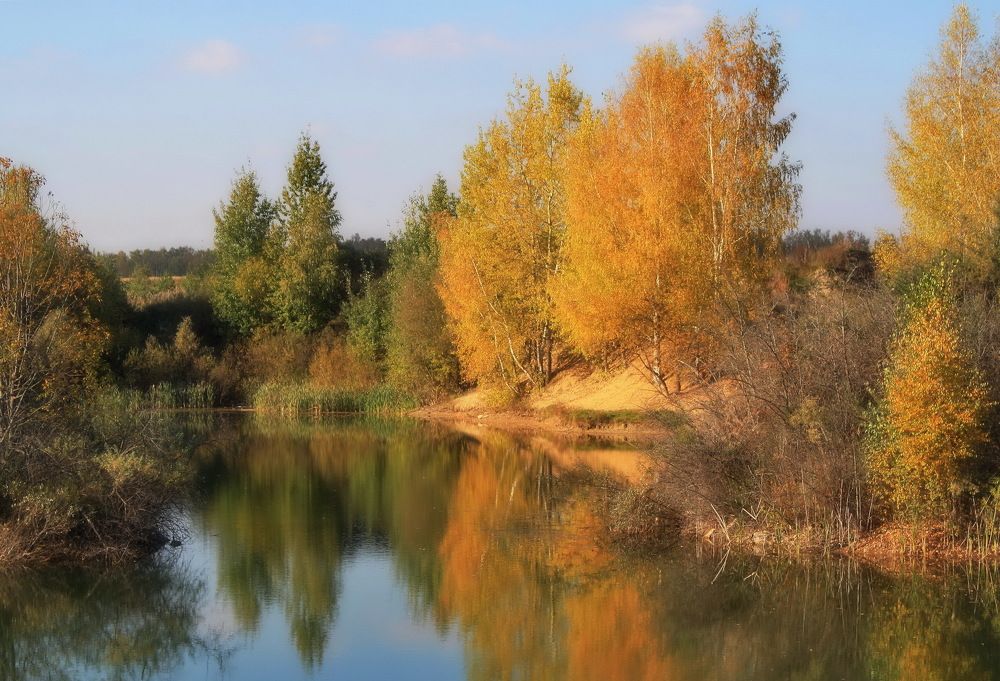 Фотография автора Панюшкин Владислав Владимирович